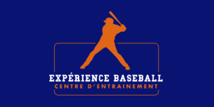 Experience Baseball